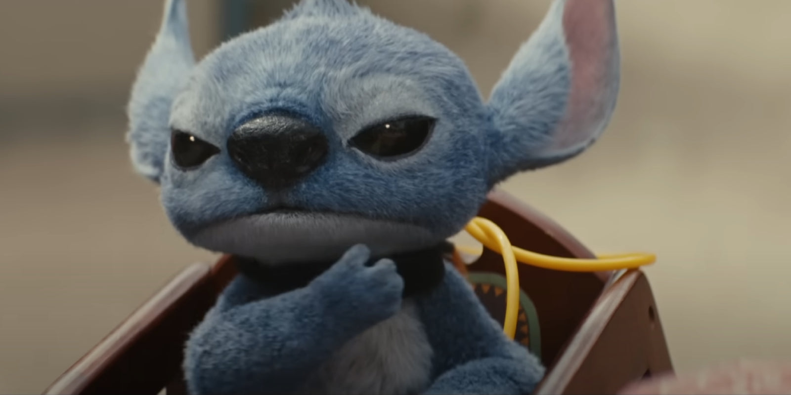 Everything You Need to Know About the New Lilo and Stitch Movie: Answers to the Top 5 Most Asked Questions