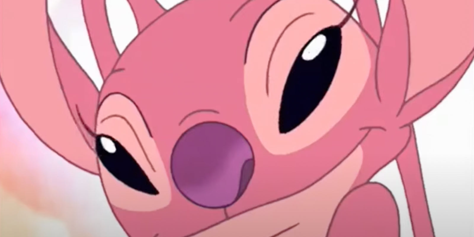 Hoe Heet de Roze Stitch?