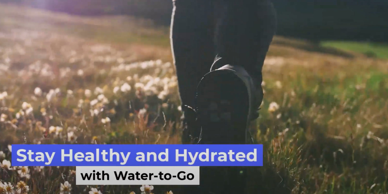 What is the best water filter for an emergency situation?