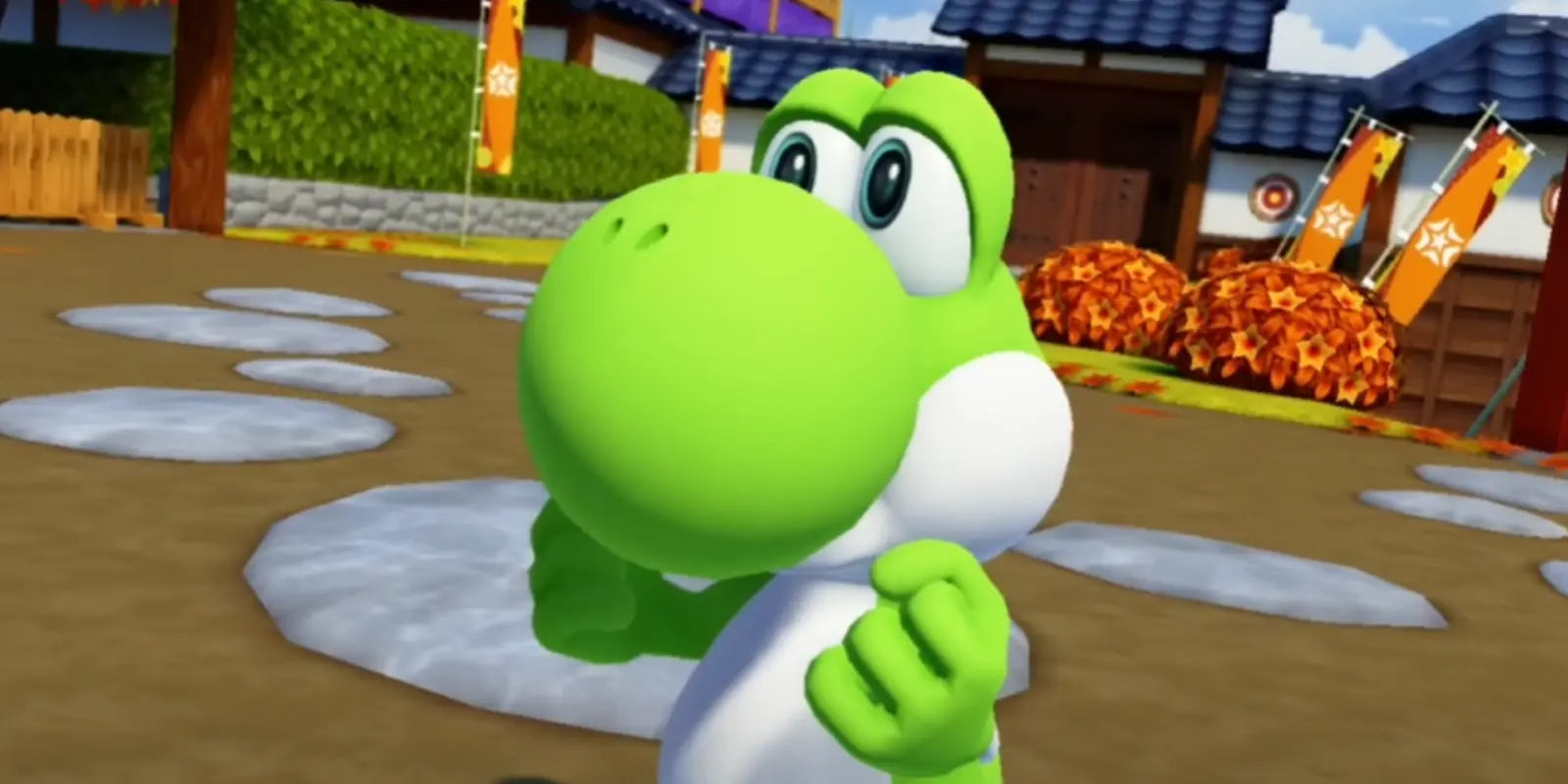 Wat voor Dier is Yoshi?