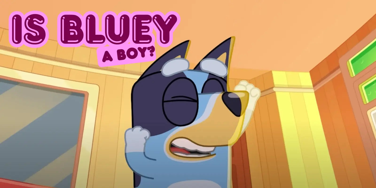 Is Bluey a Boy? The Answer and Fun Facts About Bluey