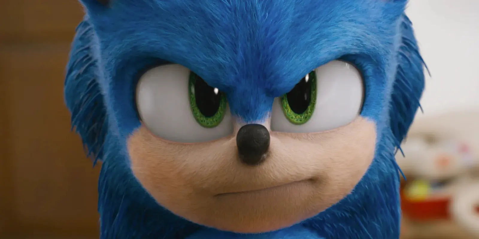 Hoe is Sonic ontstaan?