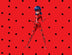 Miraculous – Geschichten von Ladybug und Cat Noir