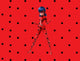 Miraculous – Geschichten von Ladybug und Cat Noir