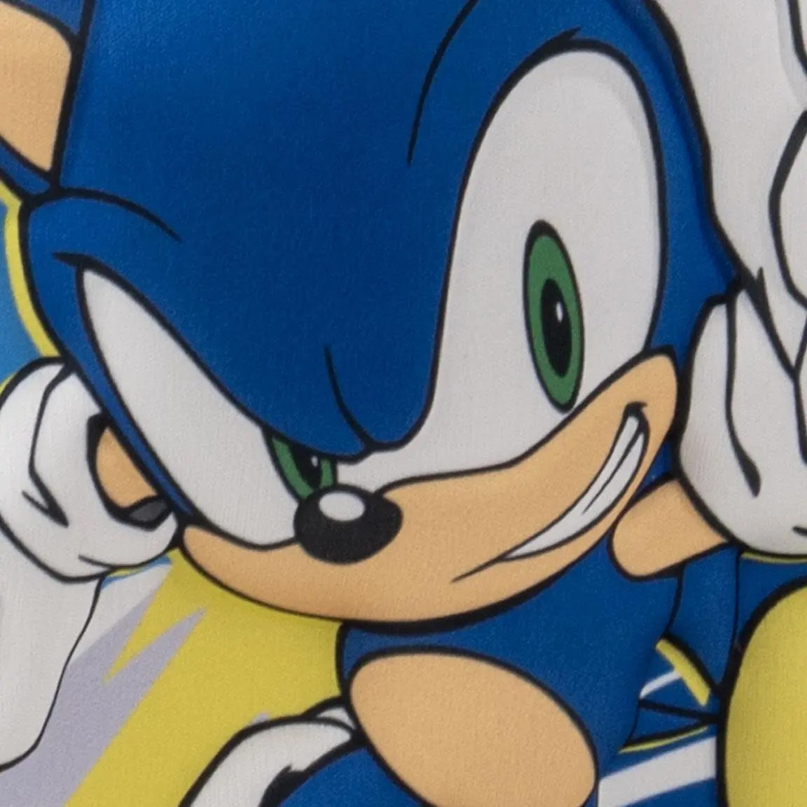 Sonic the Hedgehog lunchtas detail