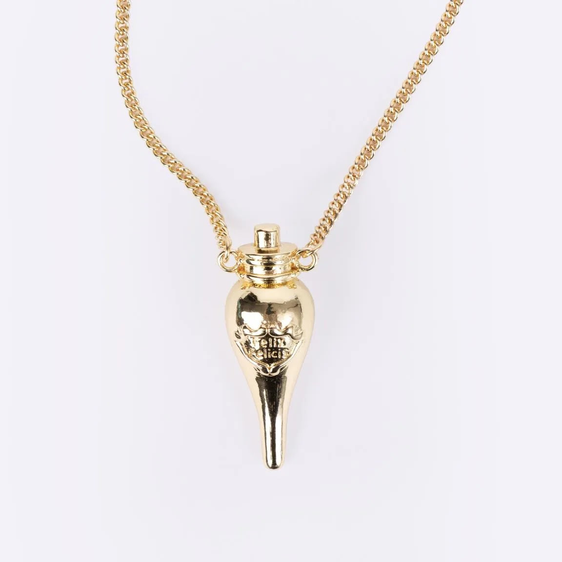 detail goudkleurige Felix Felicis hanger