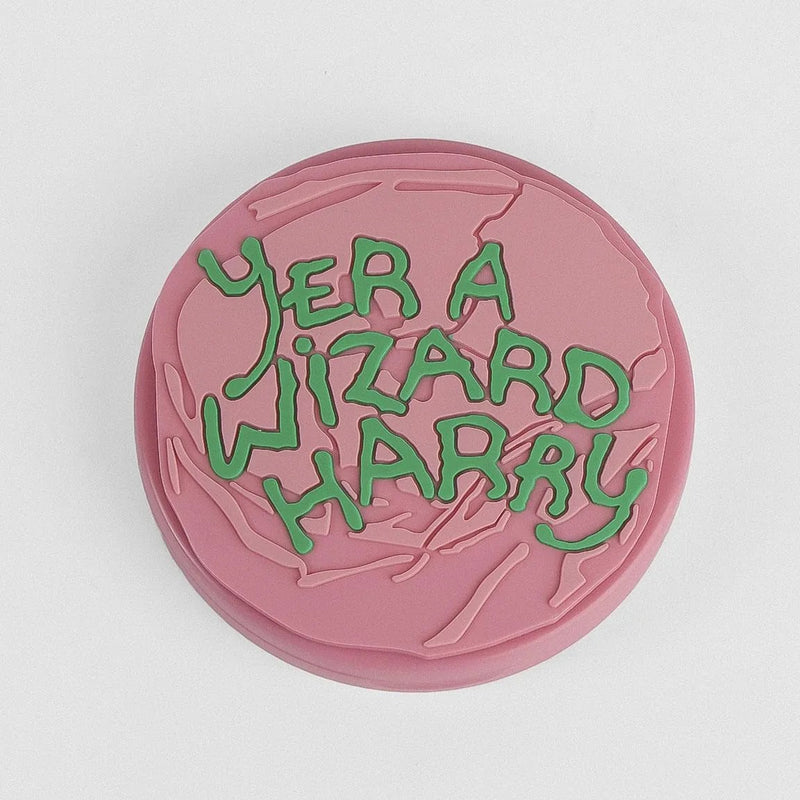 roze klapspiegel met tekst Yer a Wizard Harry
