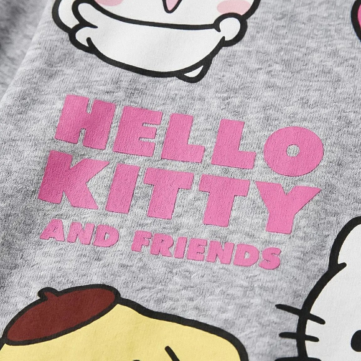 Detail roze tekst HELLO KITTY AND FRIENDS