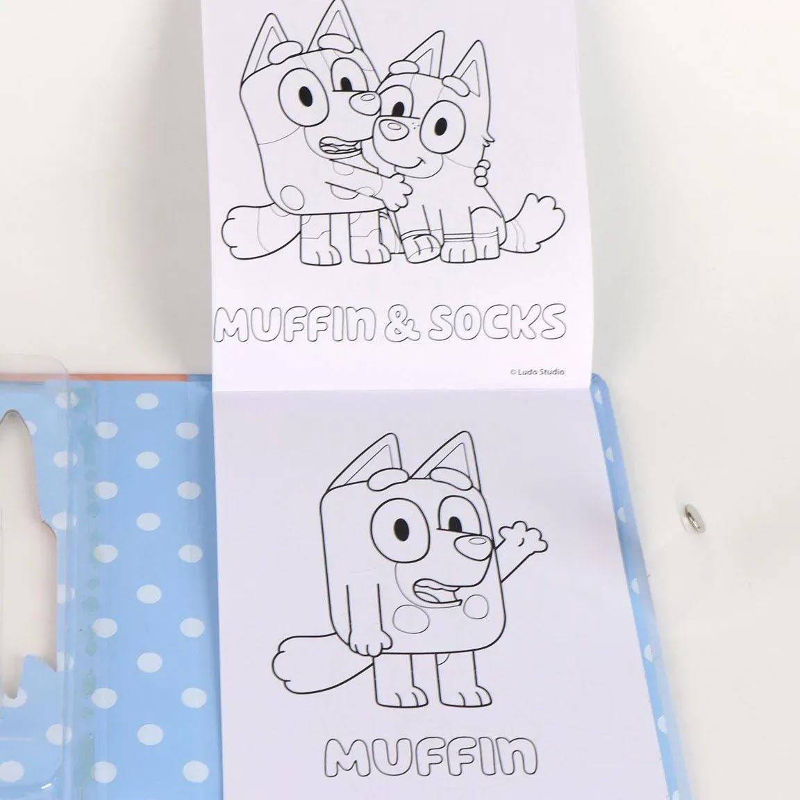 Bluey activiteitenboek kleurplaten