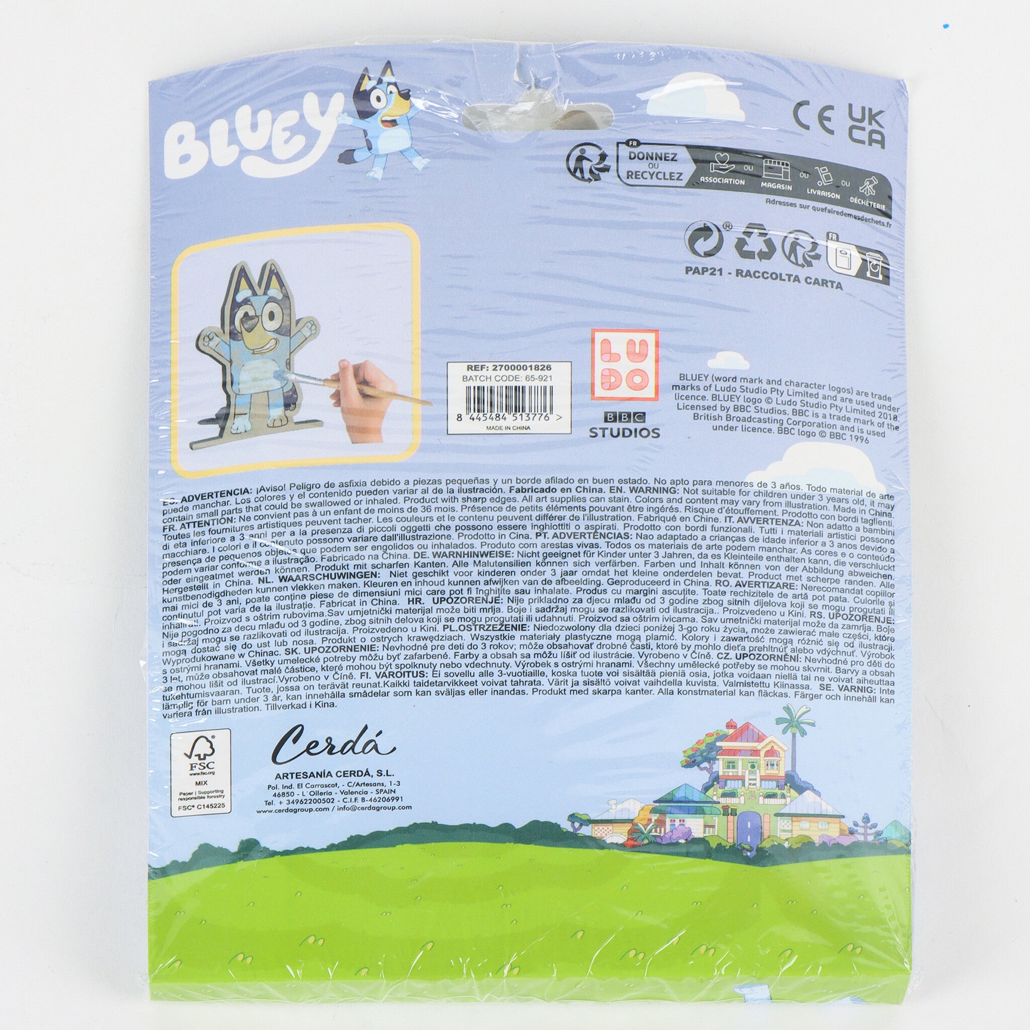 Bluey Wooden Painting Craft Kit