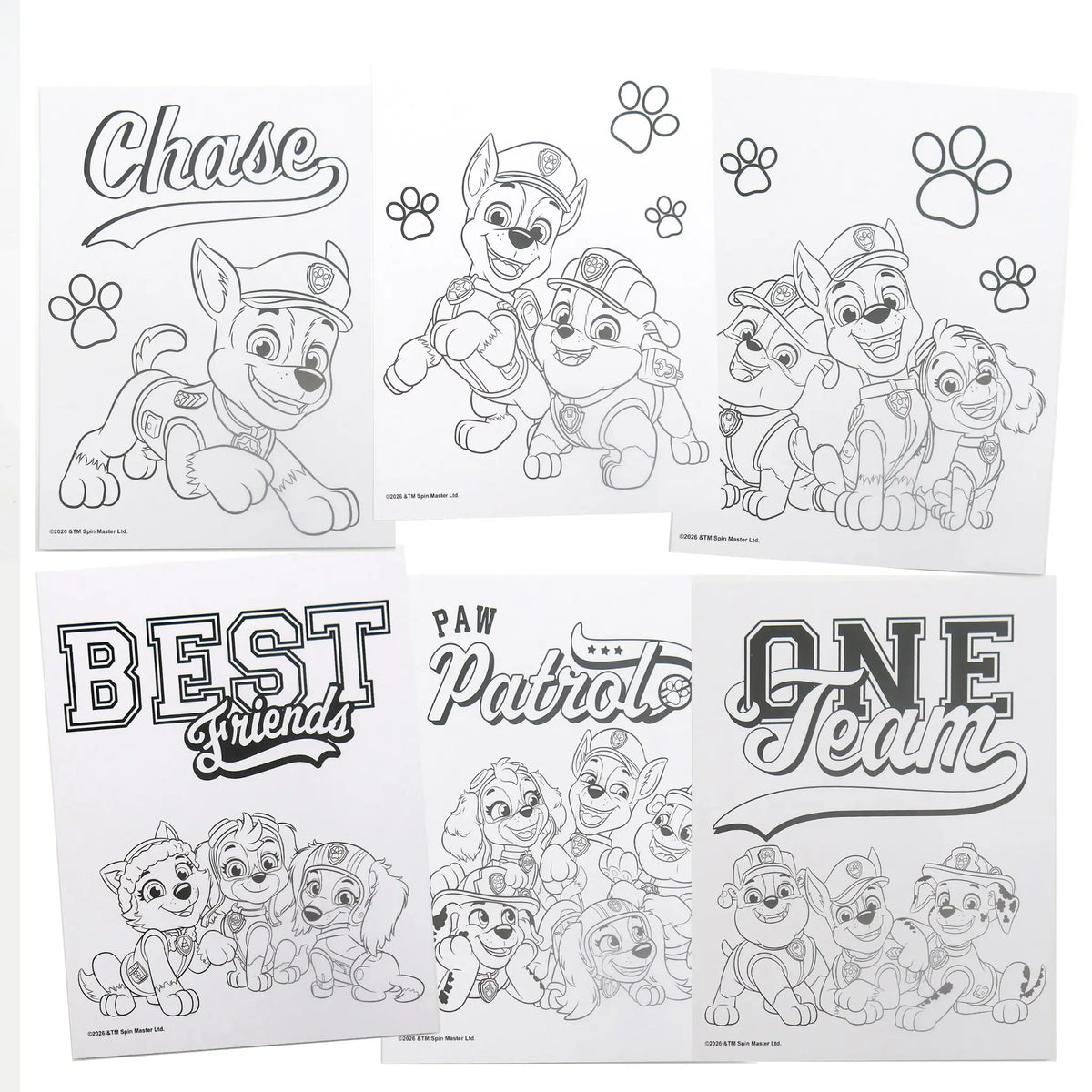 Paw Patrol Activiteitenset in Tas met Kleurplaten, Stickers en Stiften