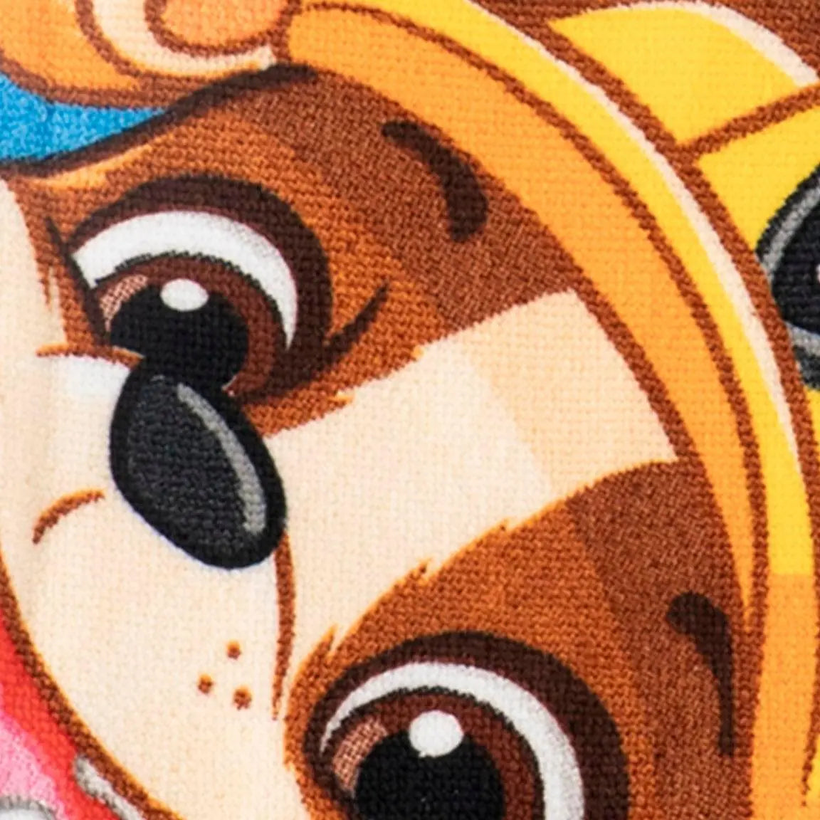 Paw Patrol Beach Towel with Goggles