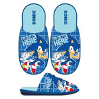 Sonic the Hedgehog Pantoffels Sloffen Jongens Meisjes