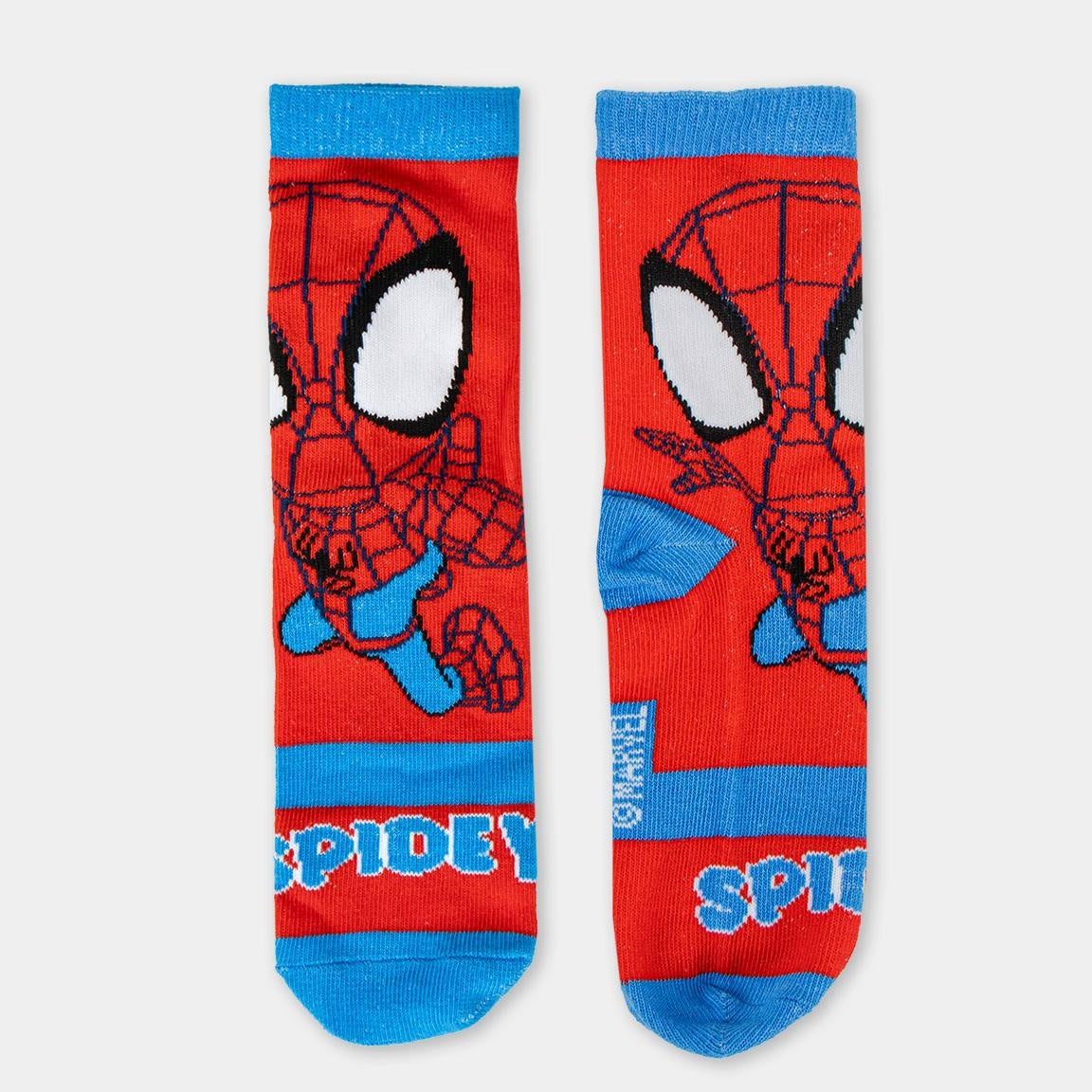 Spidey and his Amazing Friends Socks in Money Box - 4 Pairs